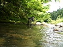 2007-07-03 155.JPG